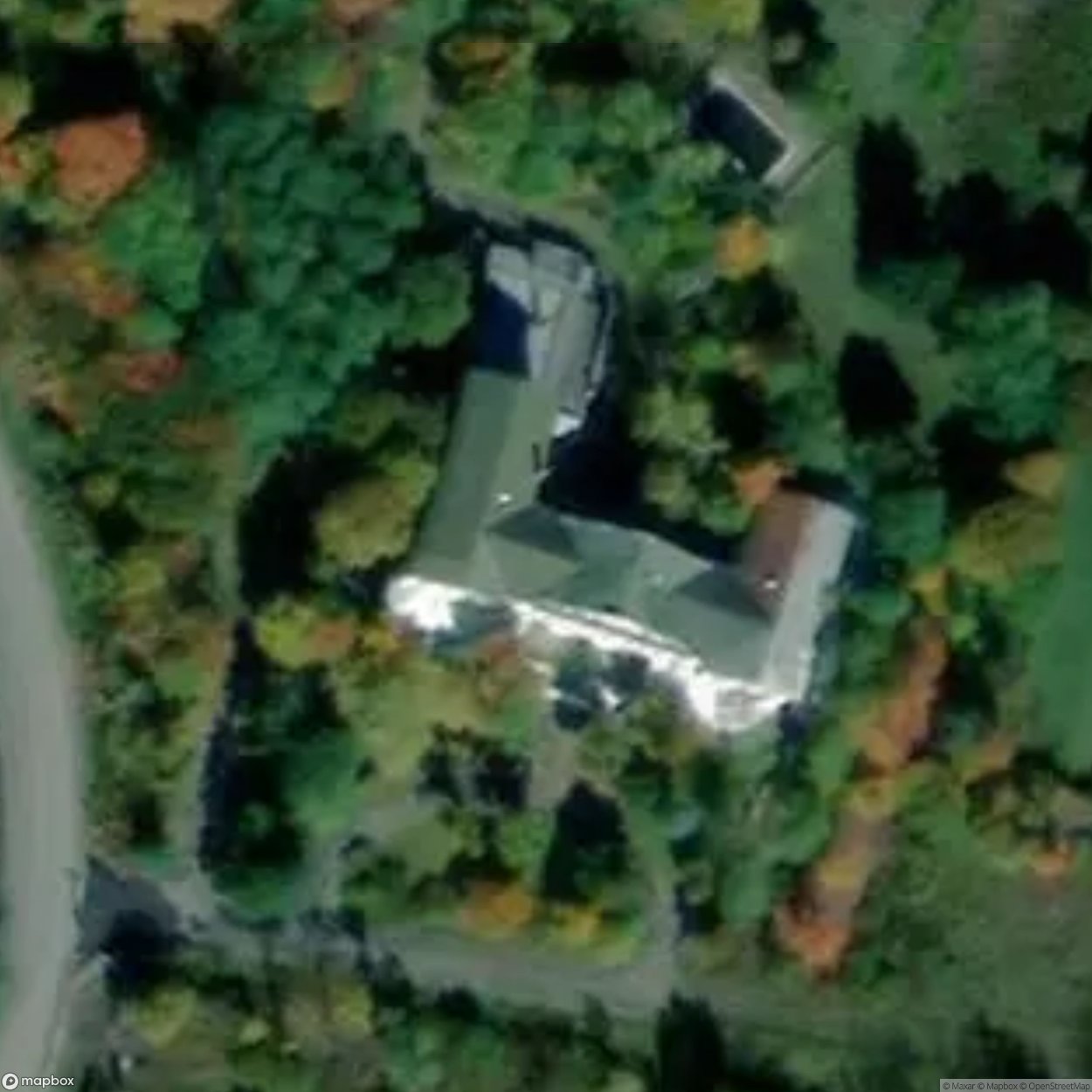 The Adler
