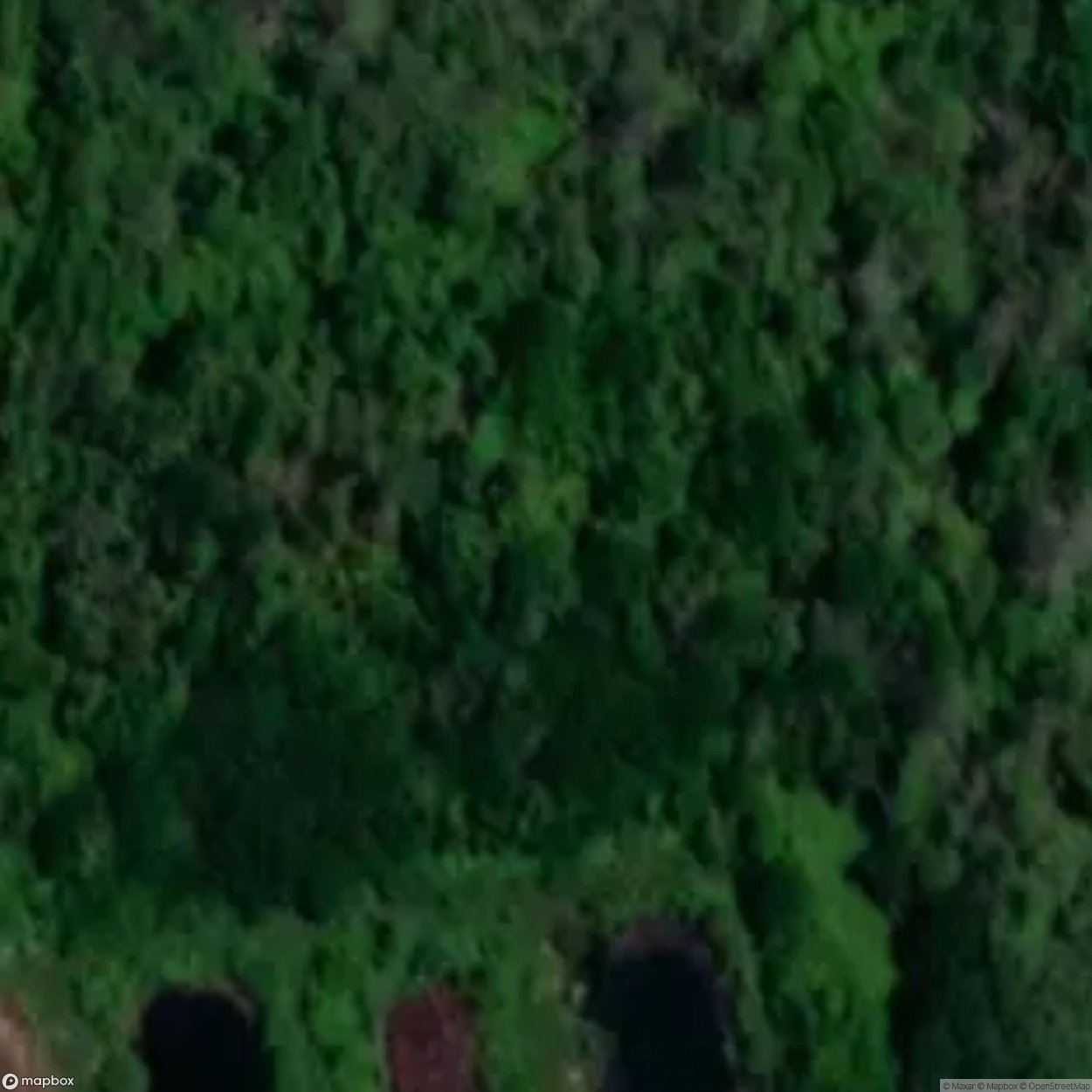 Old Schoolbuses