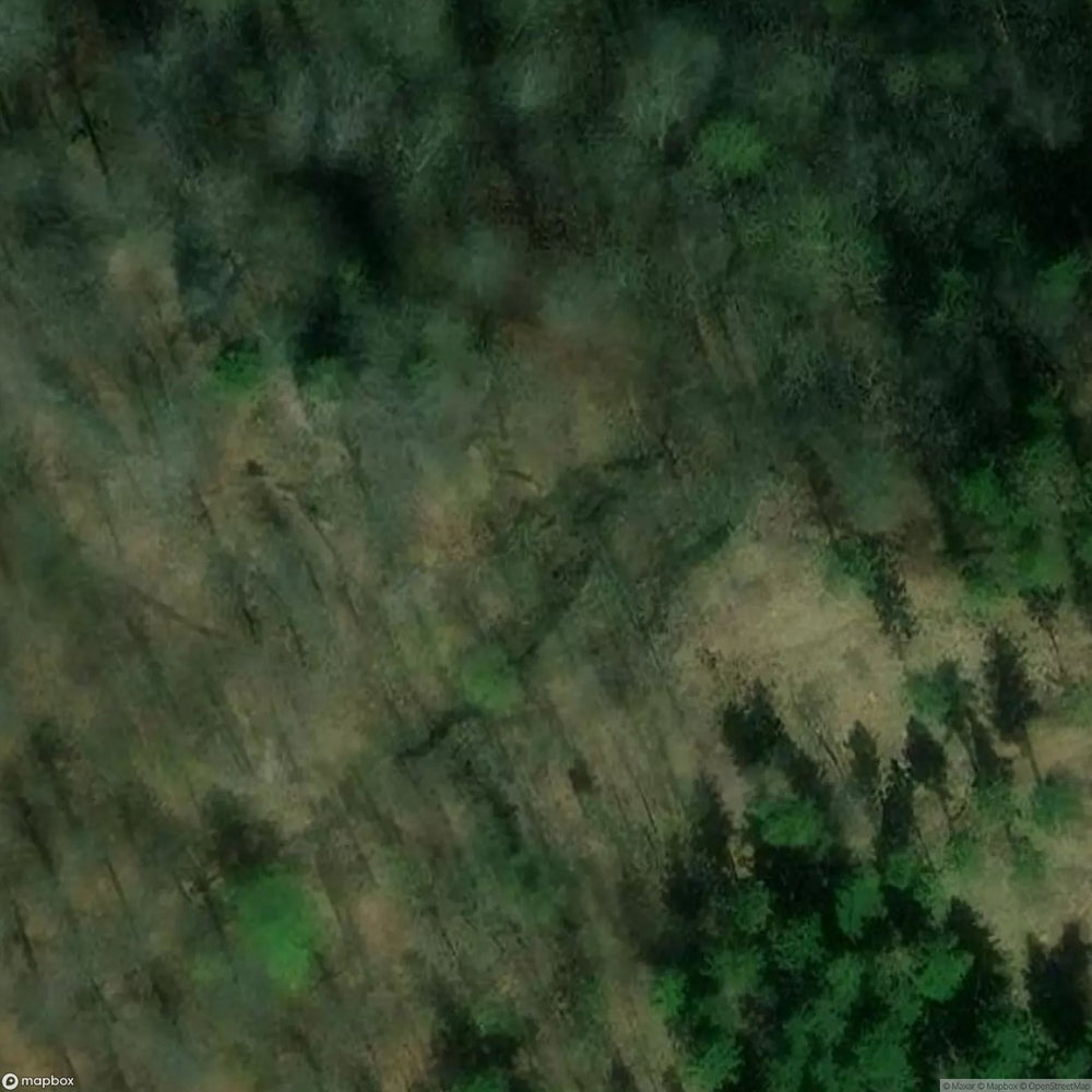 Radosno Castle Ruins [POL] #11785