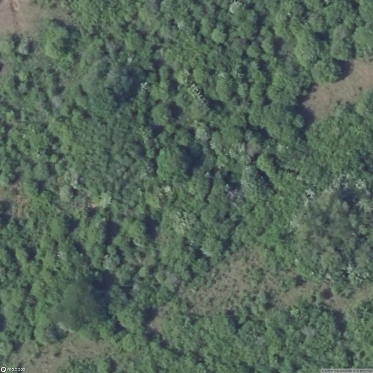 Rochonvillers Fortification [FRA]