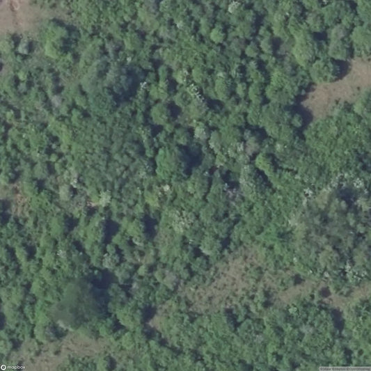 Rochonvillers Fortification [FRA]