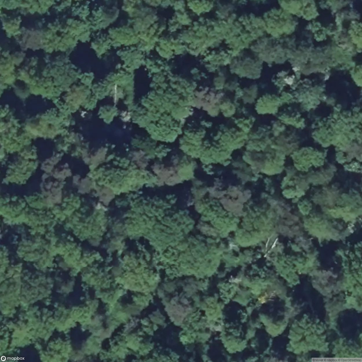 Otterbiel Fortification [FRA]