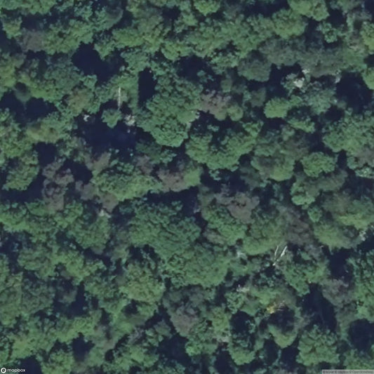 Otterbiel Fortification [FRA]