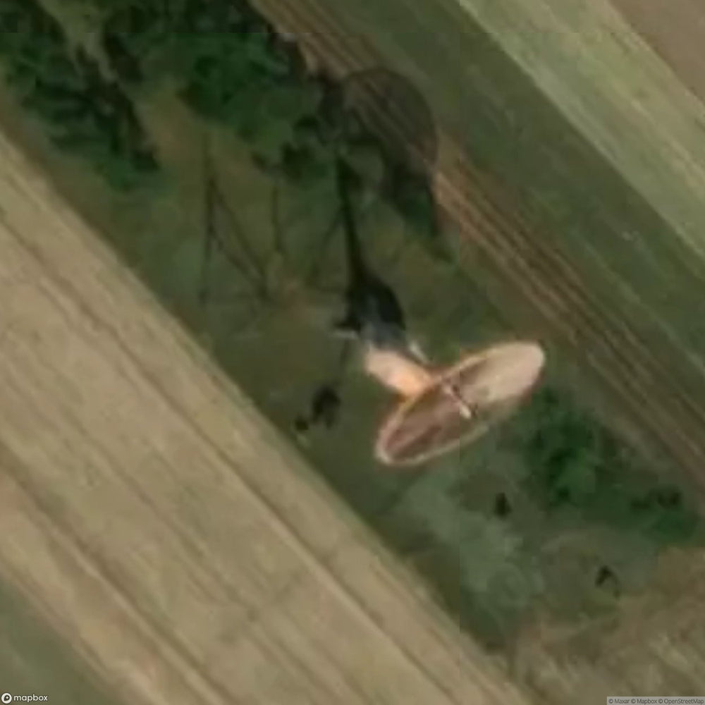 Windmill [POL] #10245