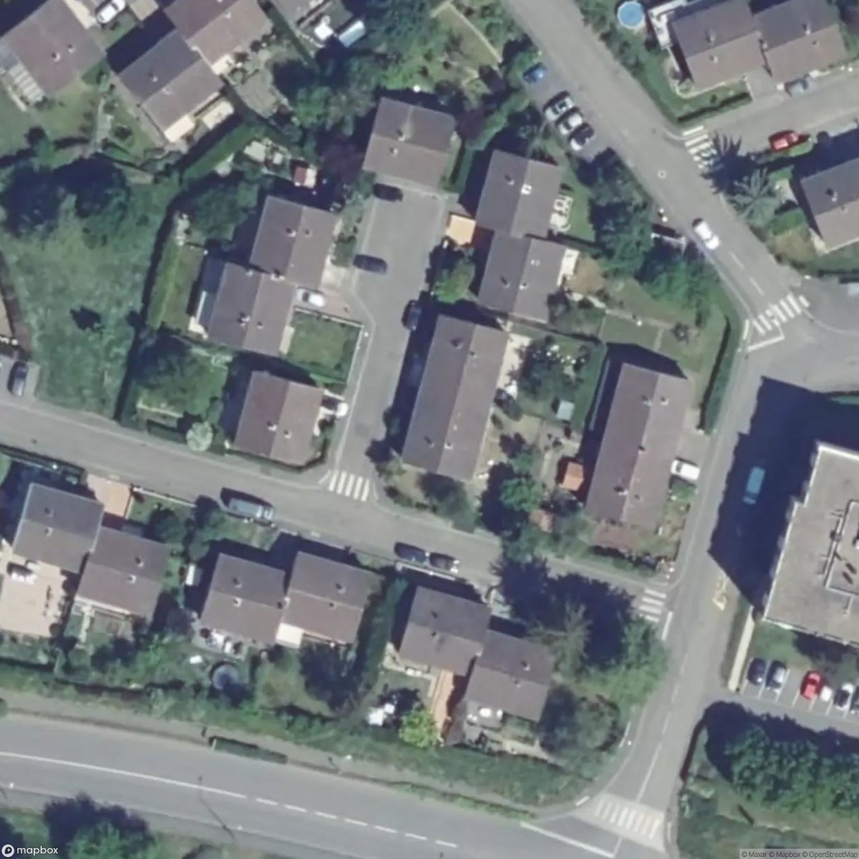 House Ferns / House Ferns [FRA]