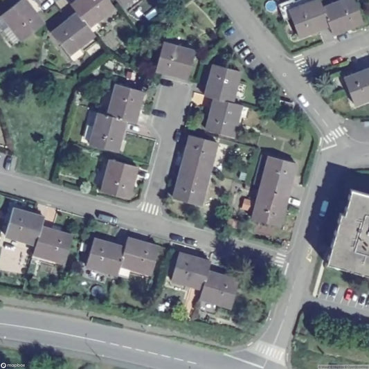 House Ferns / House Ferns [FRA]