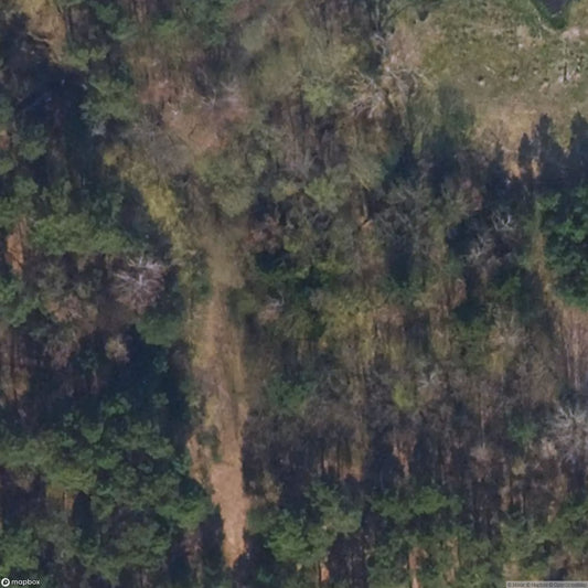 Wolfswinkel Cemetery [DEU]