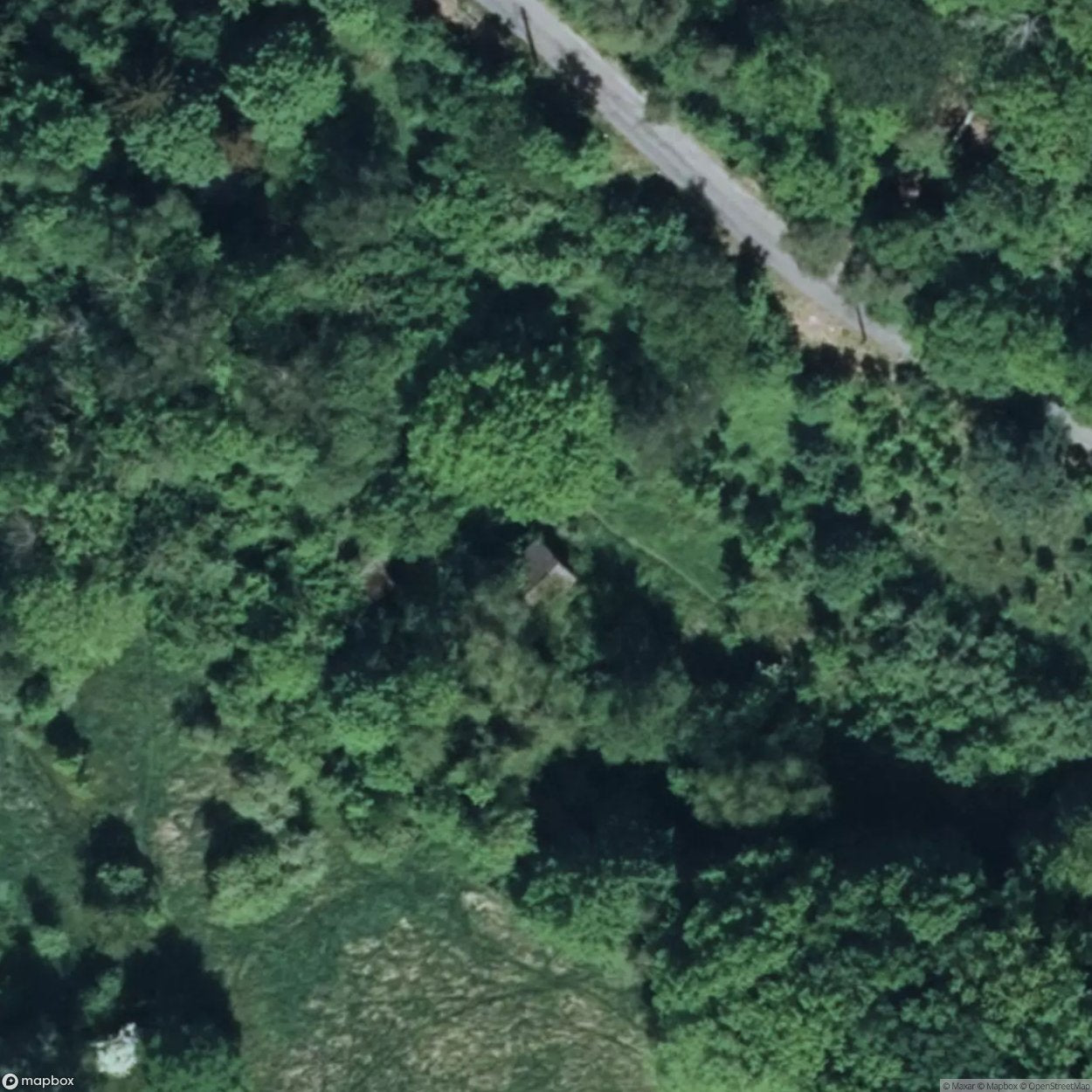 House Raven Nest [DEU]