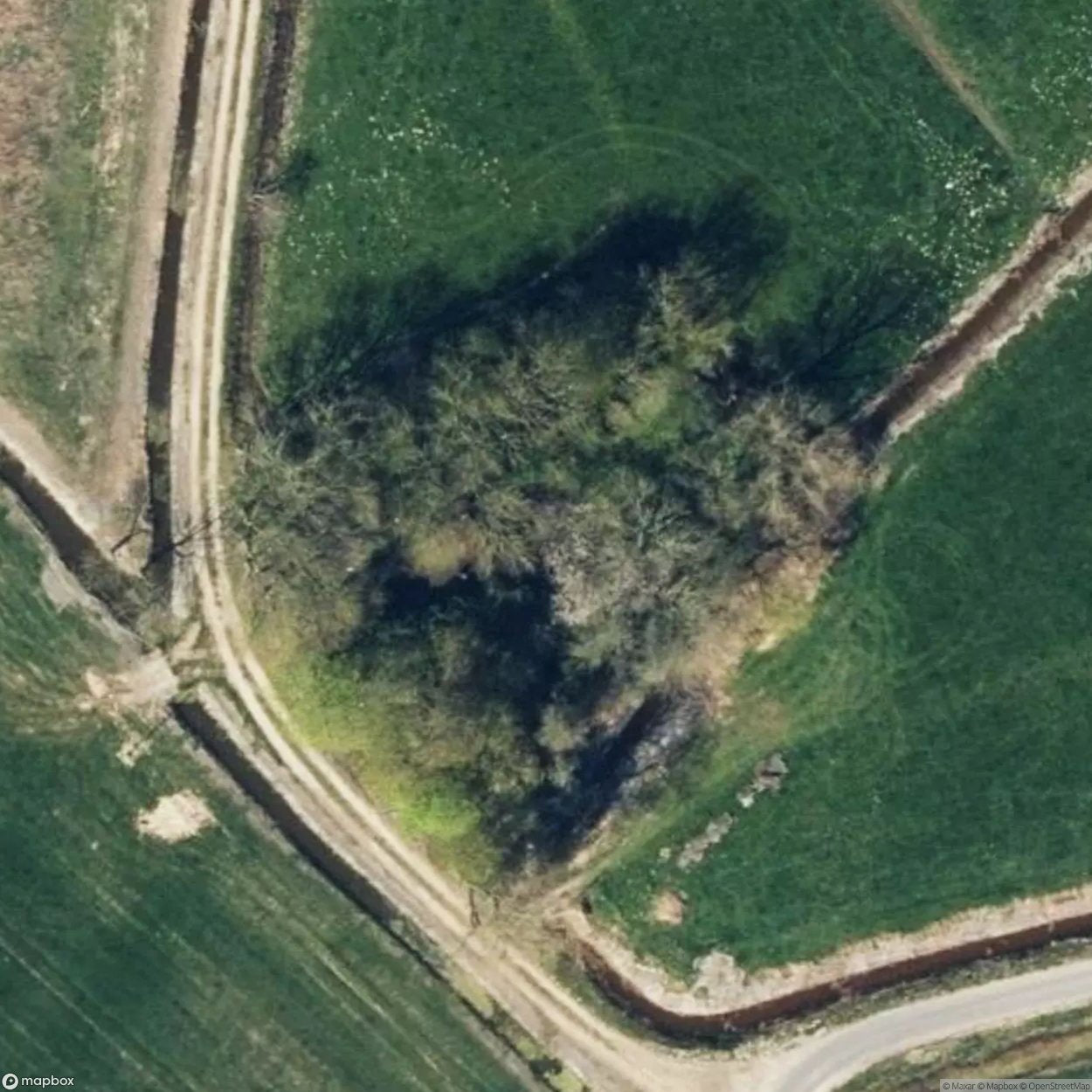 Courtyard Kampen [DEU]