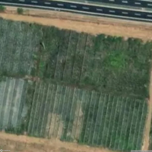 Greenhouses Aurelia 1 [ITA]