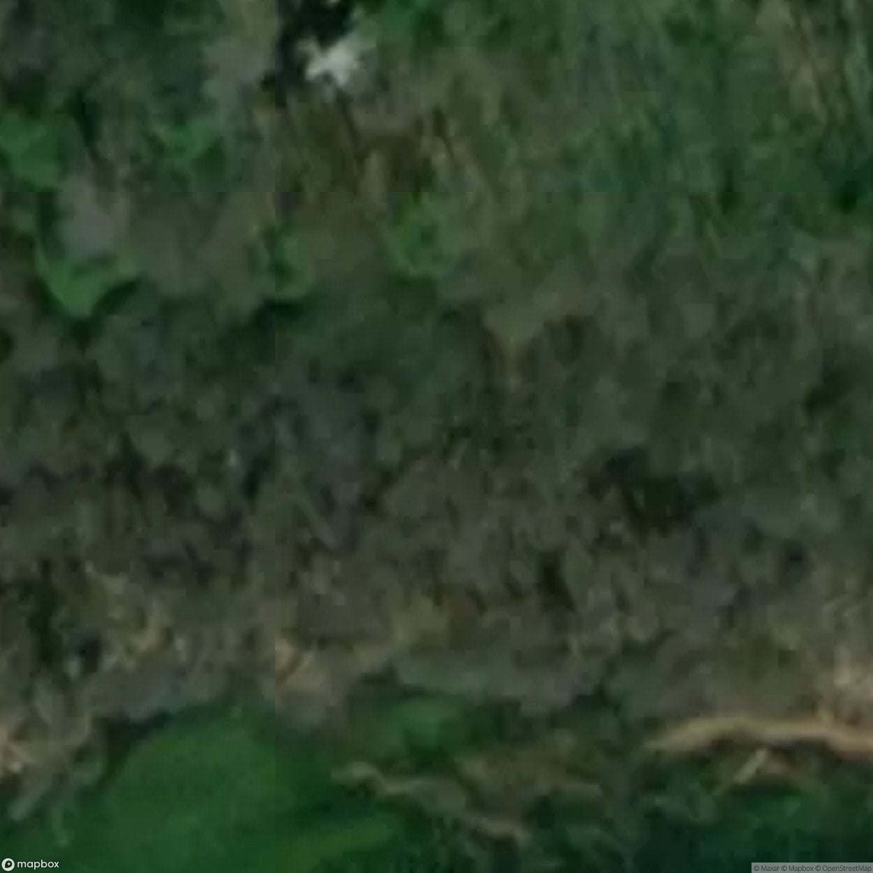 Mausoleum and Graves [POL]