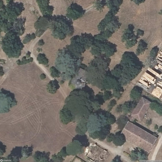 The Surgeon's Greenhouse [FRA]