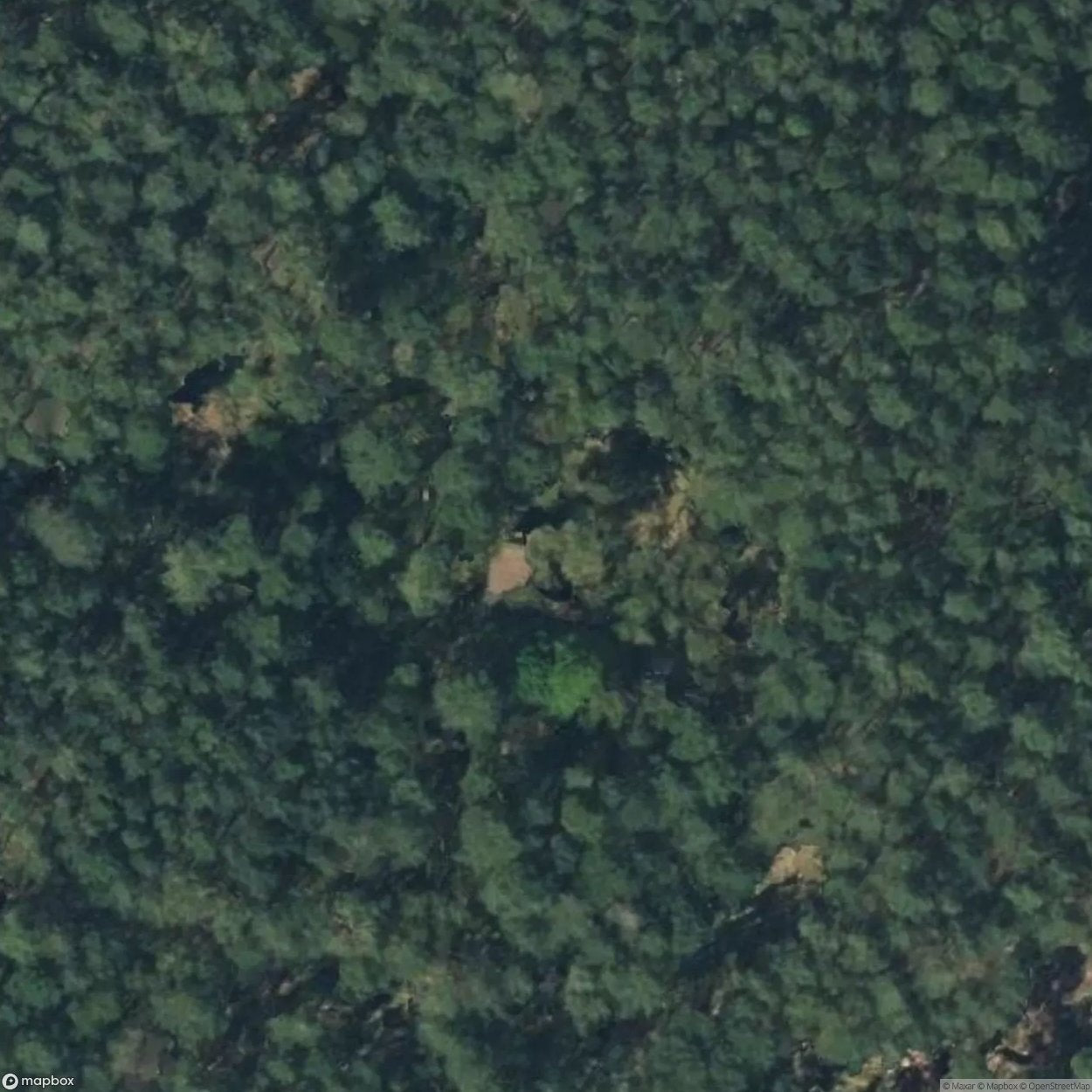 House Middle Woods [DEU]