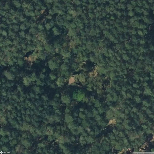 House Middle Woods [DEU]