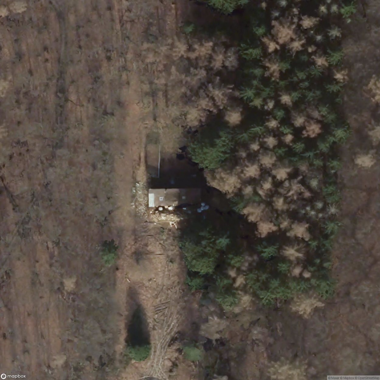 Burned Wooden Cabin With View [DEU] #00083