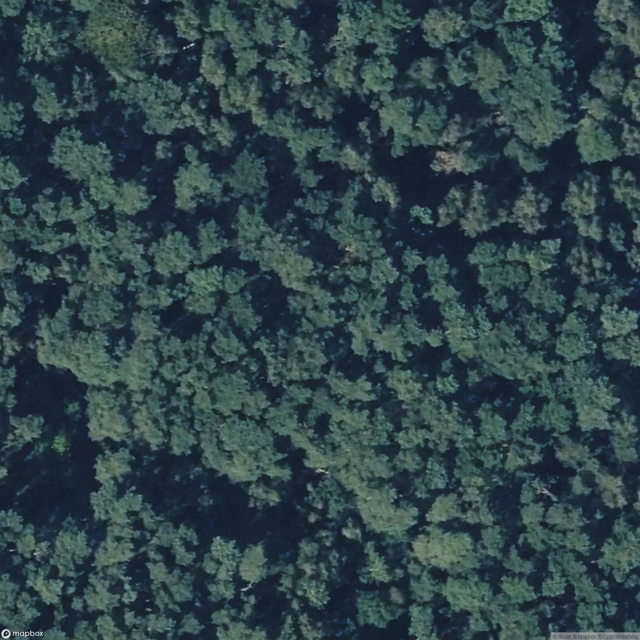 Besenhorster Sandberge und Elbsandwiesen [DUI]