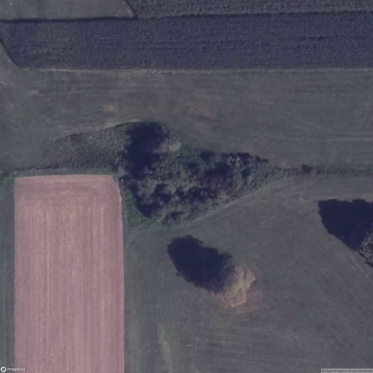 The Bridge in the Middle of a Meadow [DEU]