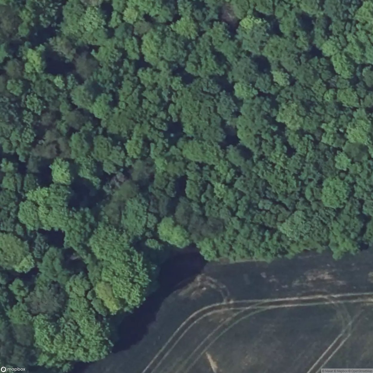 Verbusch East Casemate [FRA]