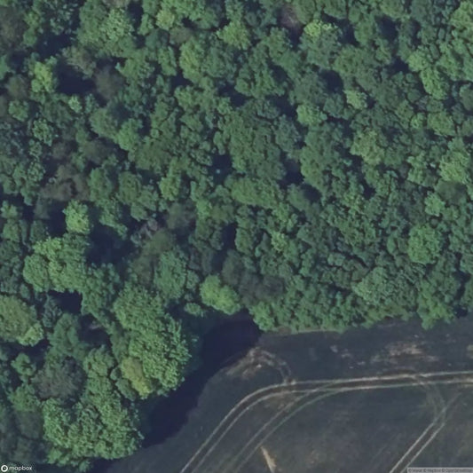 Verbusch East Casemate [FRA]