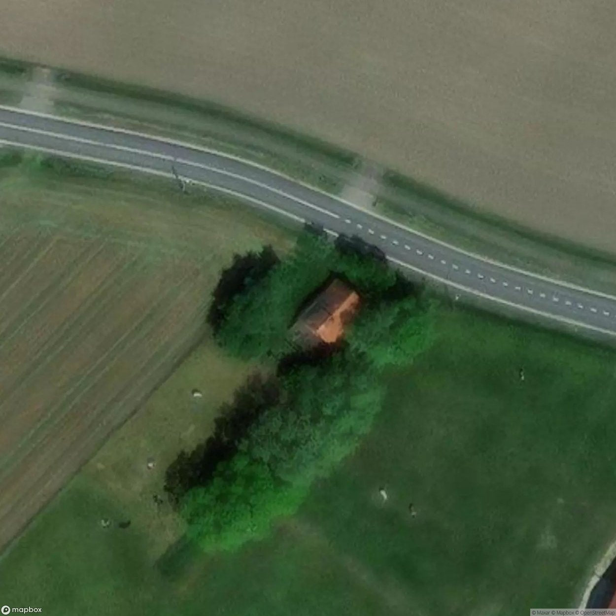 Sperm House [BEL] #04150