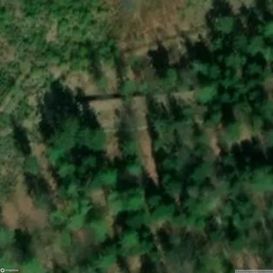 Casino Osówka [POL]