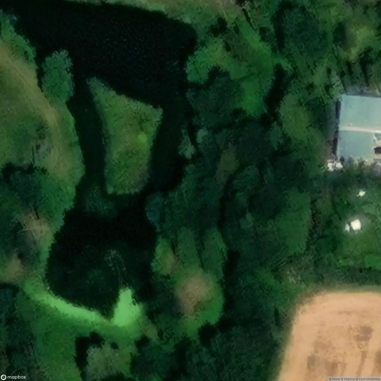 Boguszyn Palace Palace [POL] #23901