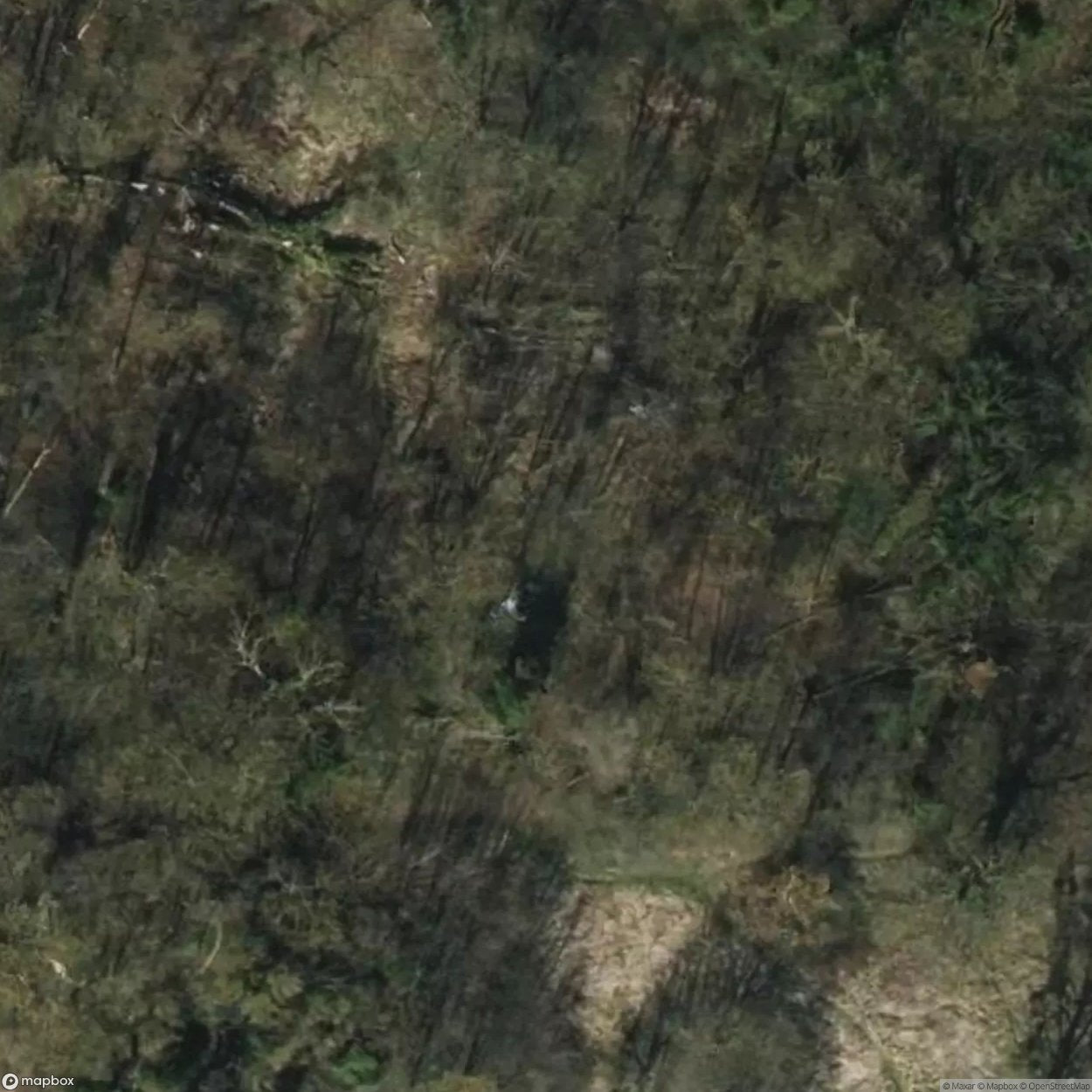 Calenberg Castle Ruins [DEU]