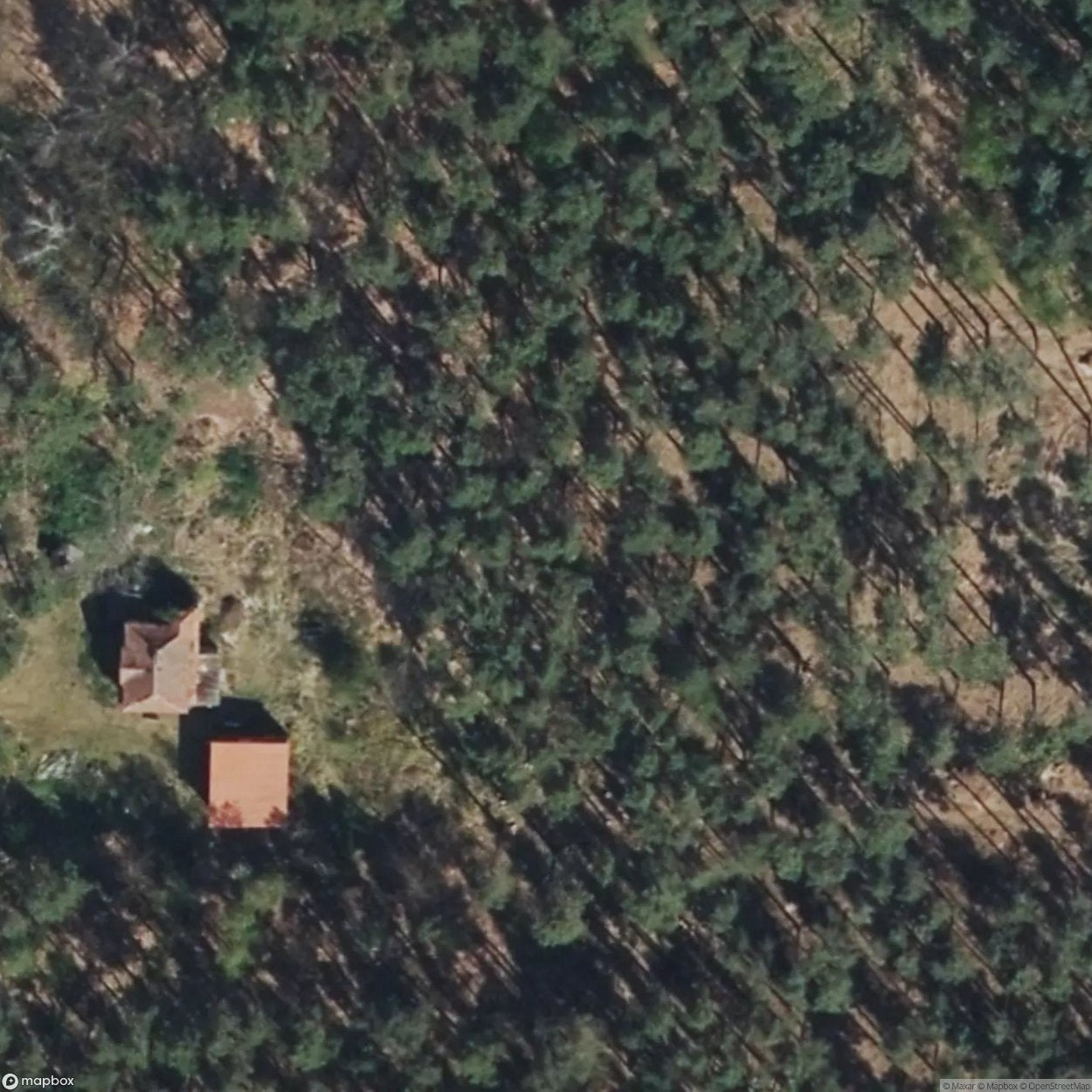 Cabin in the Woods [DEU]