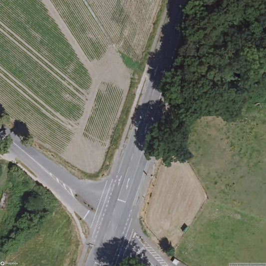 Bocku slaughter facility [DEU]