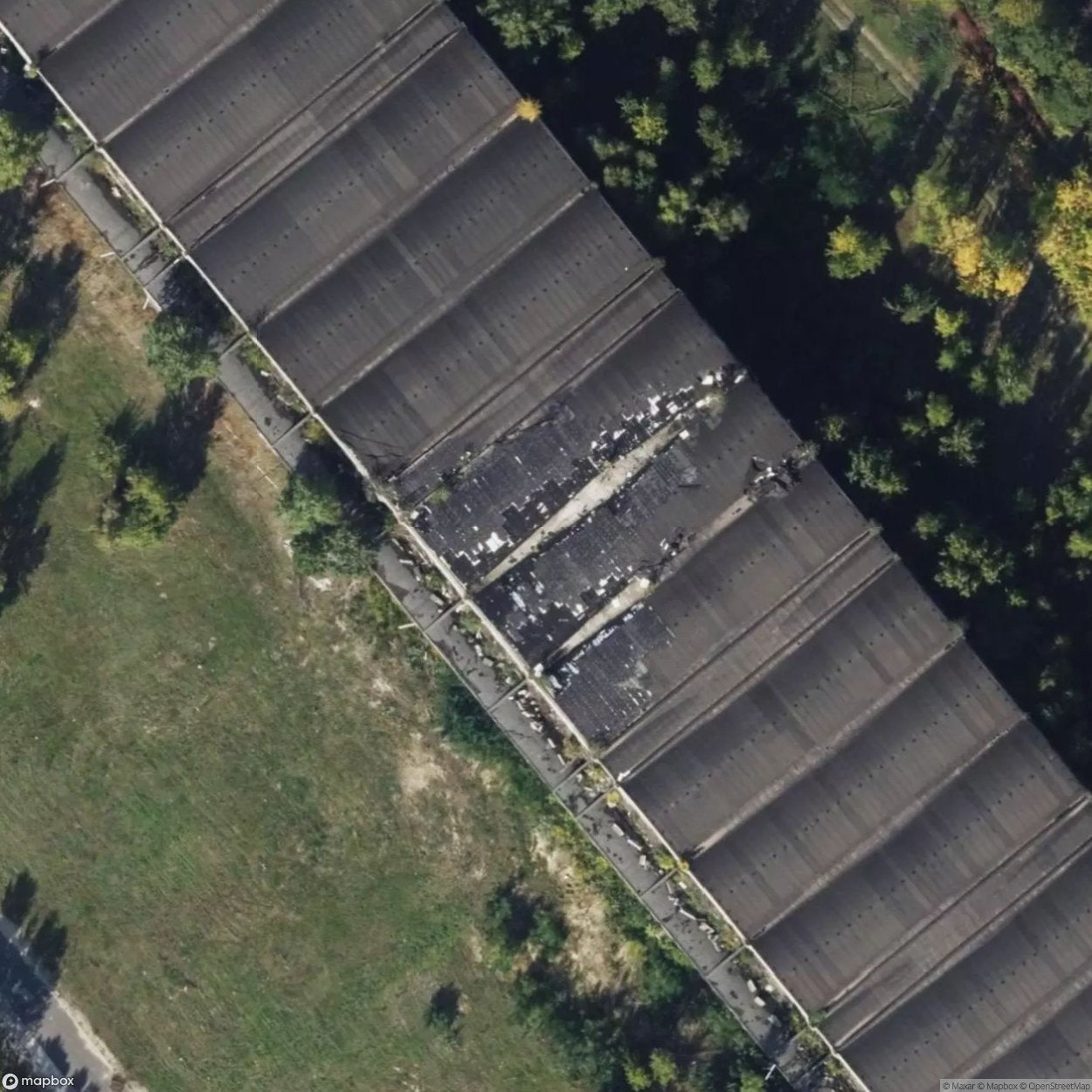 Princ Grand Fair Plant [HUN]