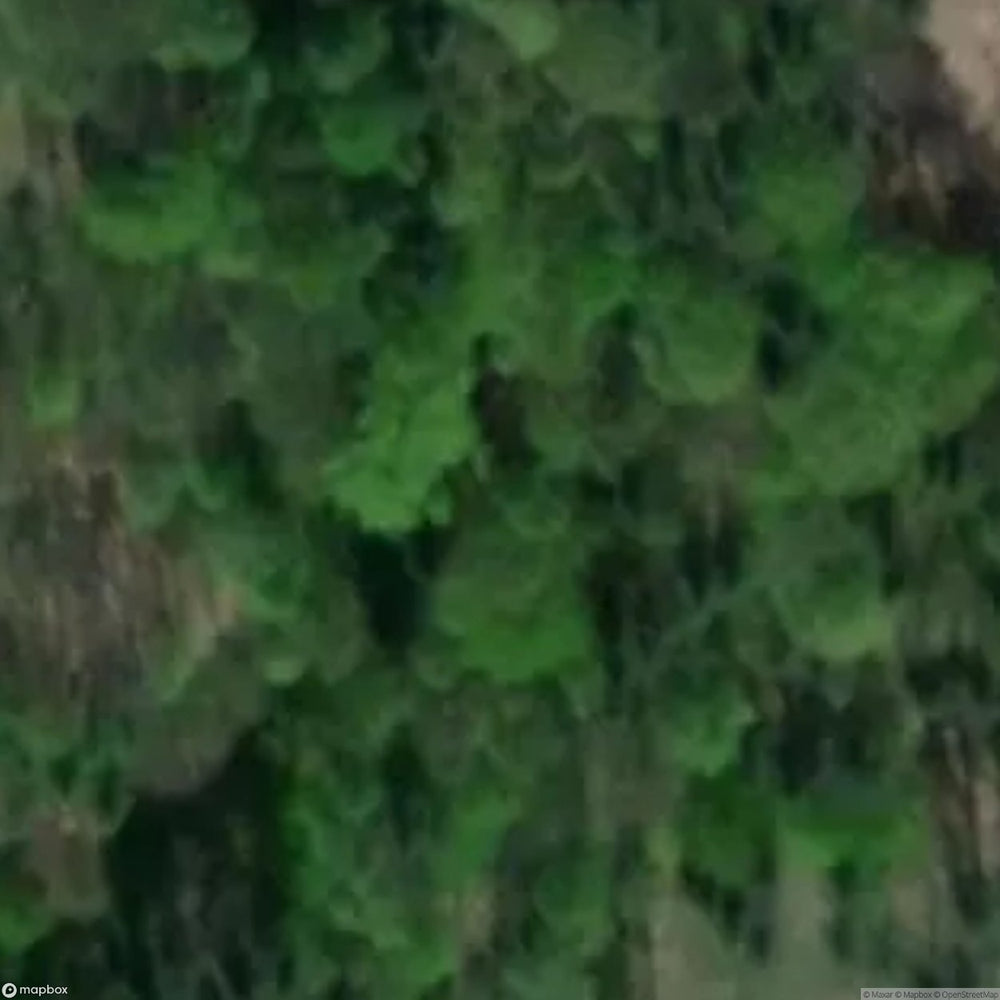 Site Ruins Of The Augusta Mine [POL] #34125