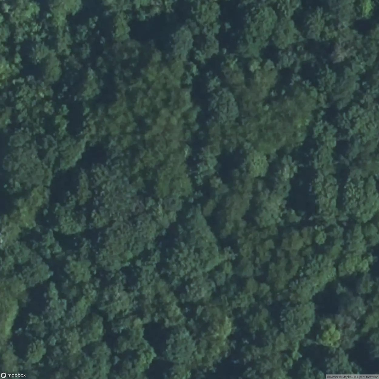 Thonnelle Fortification [FRA]