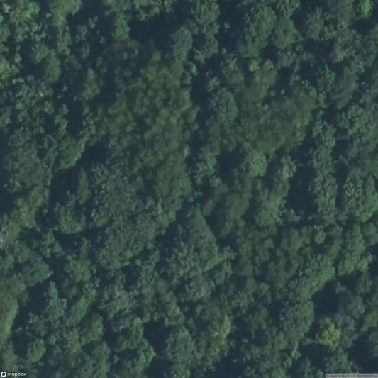 Thonnelle Fortification [FRA]