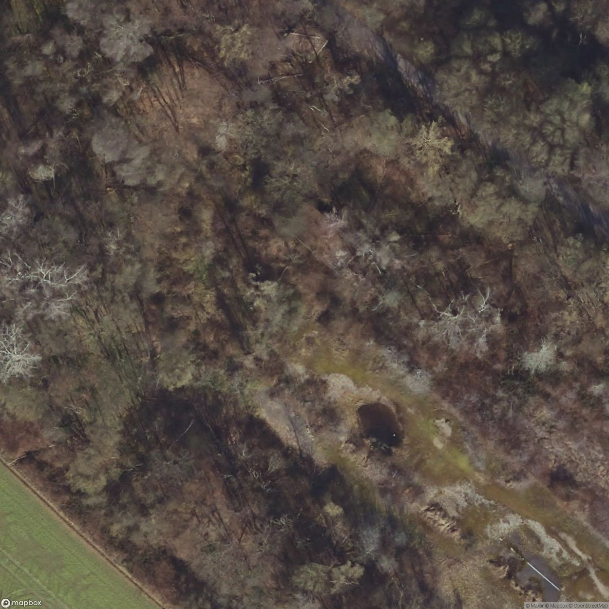 Factory Snopus [DEU]