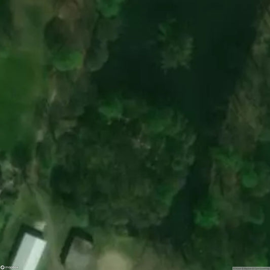 Picturesque Ruins of the Palace on the Island [POL]