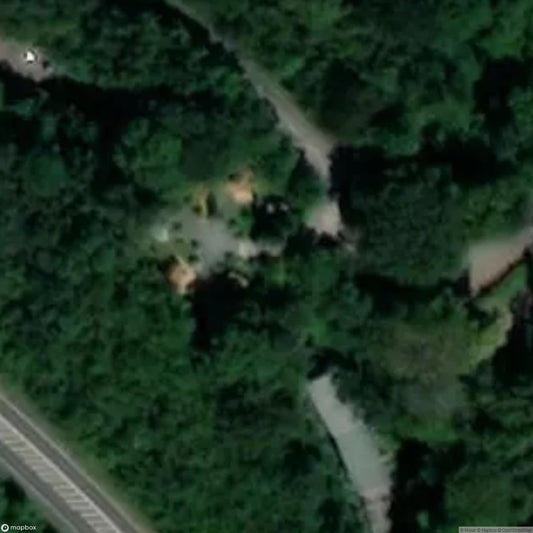 Tunnel Tree Tops Ltd Charmouth [GBR]