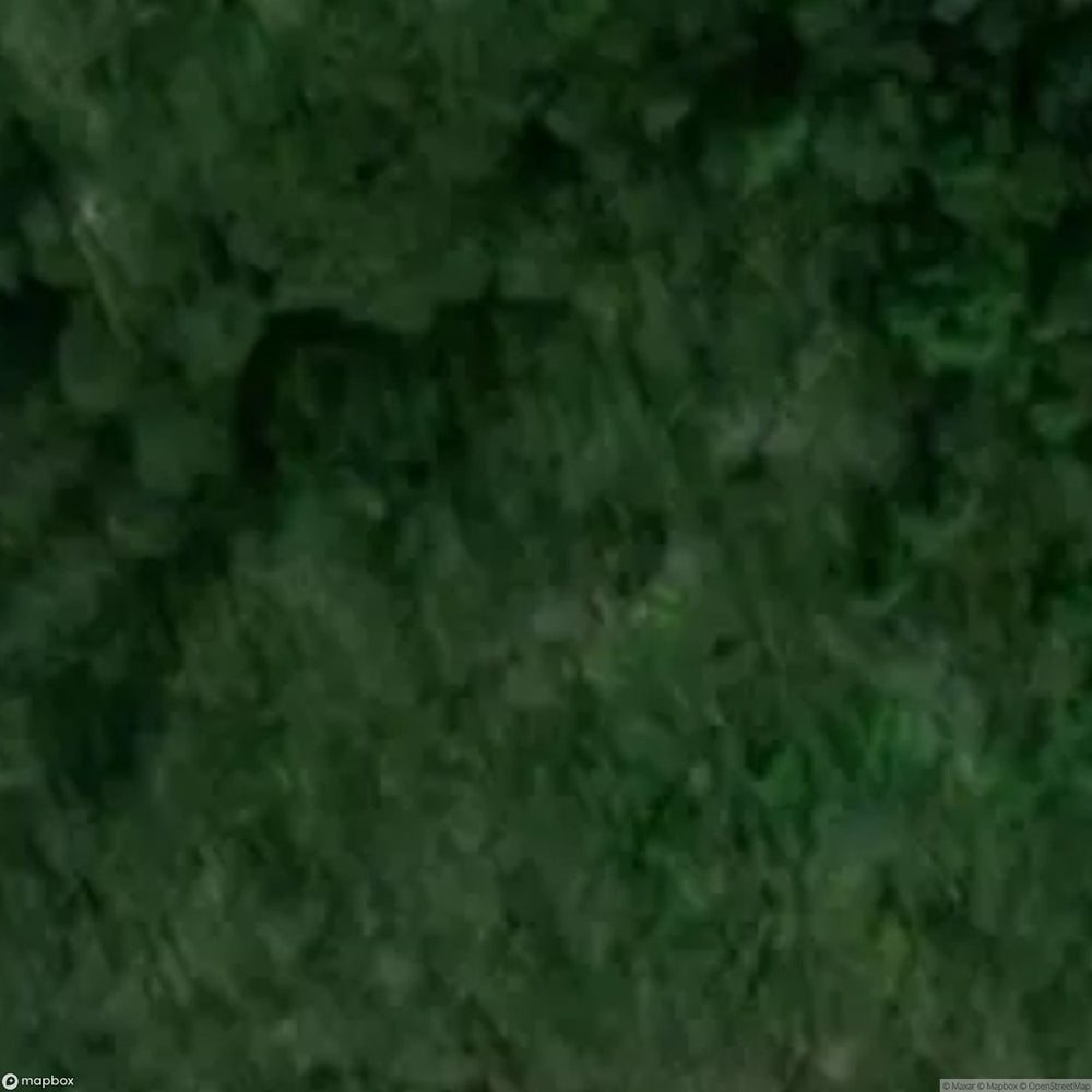 Temple Of Thought Th Century Chapel Ruins [POL] #12175