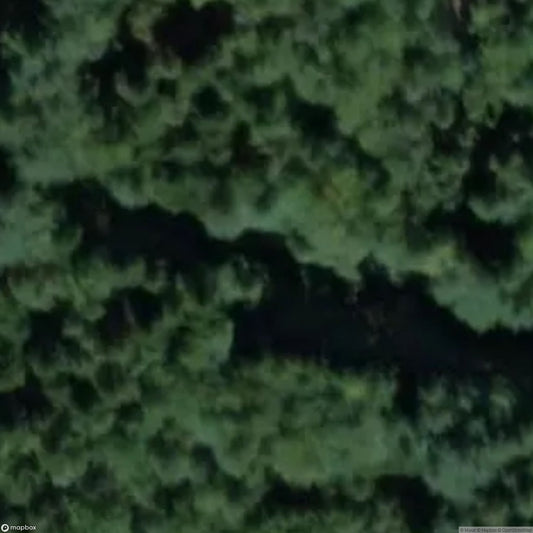 Riesloch Ski Jump [DEU]