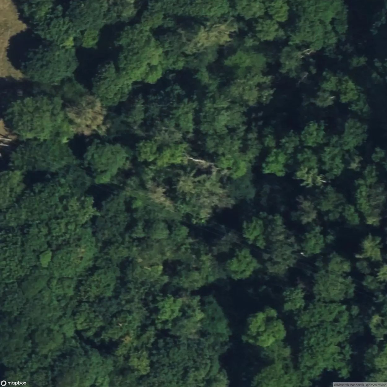 Nickergrove Mine DS [GBR]