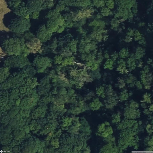 Nickergrove Mine DS [GBR]