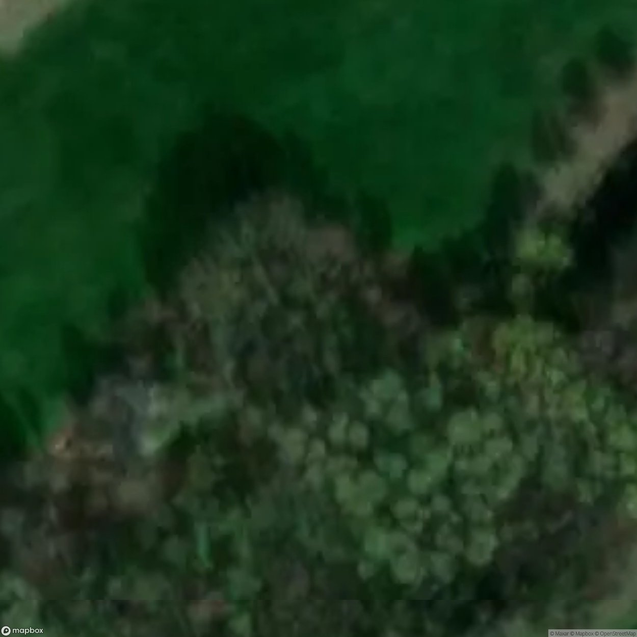 Bus Tower Kortenaken [BEL]