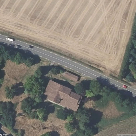 Tinkerbell House [FRA]