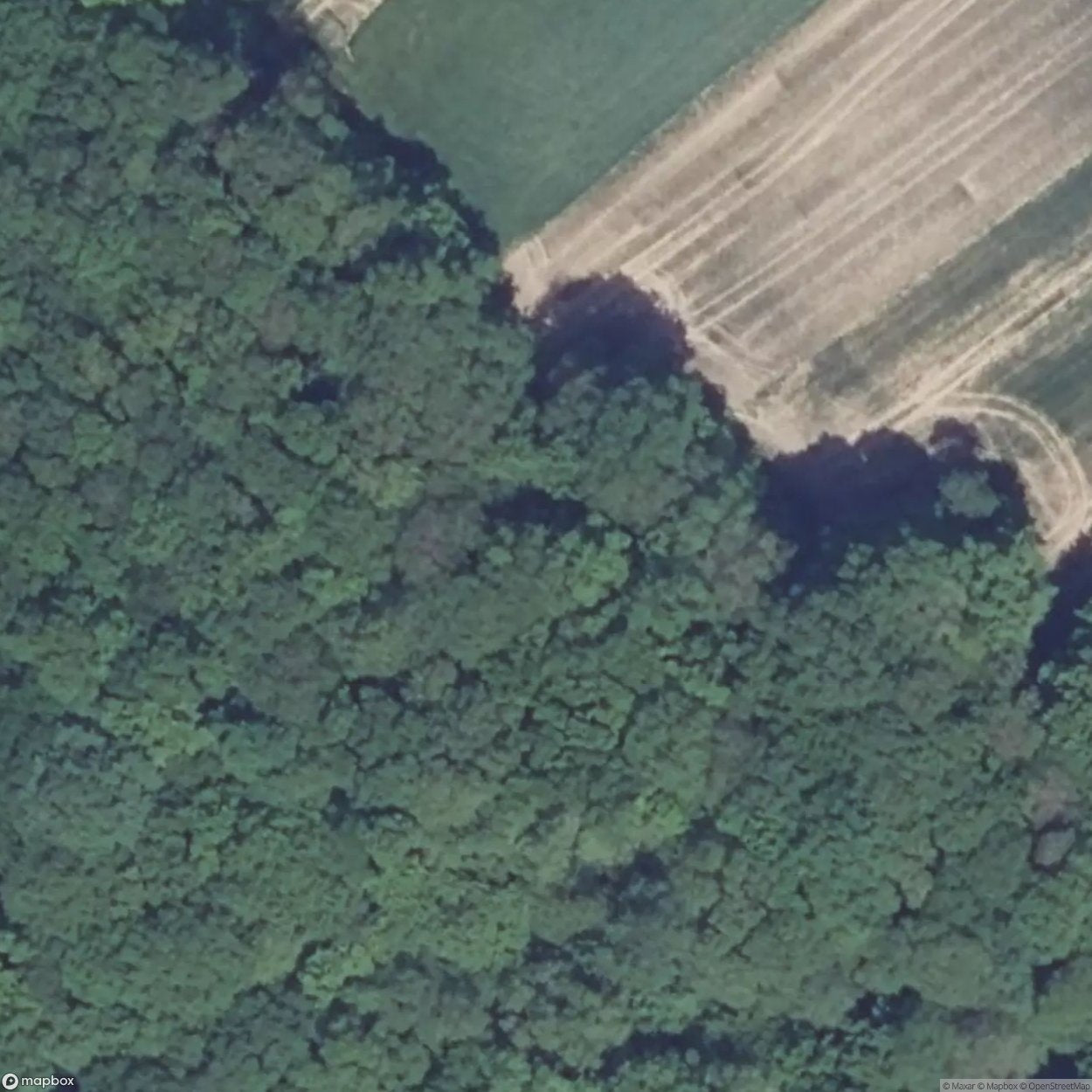 Oberheid Fortification [FRA]