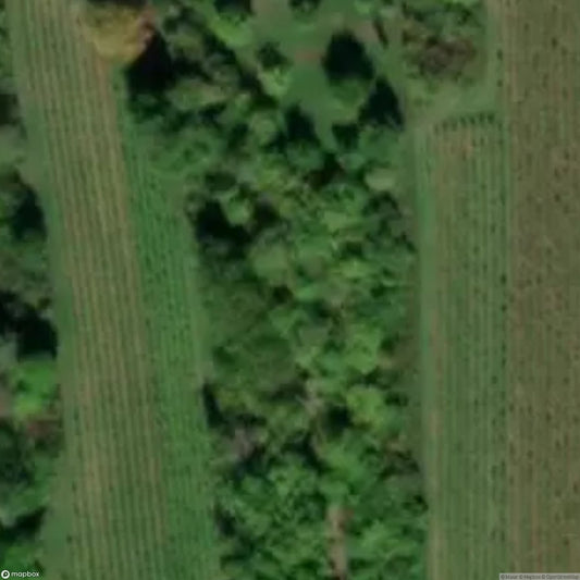 Air-Raid Shelter [DEU]