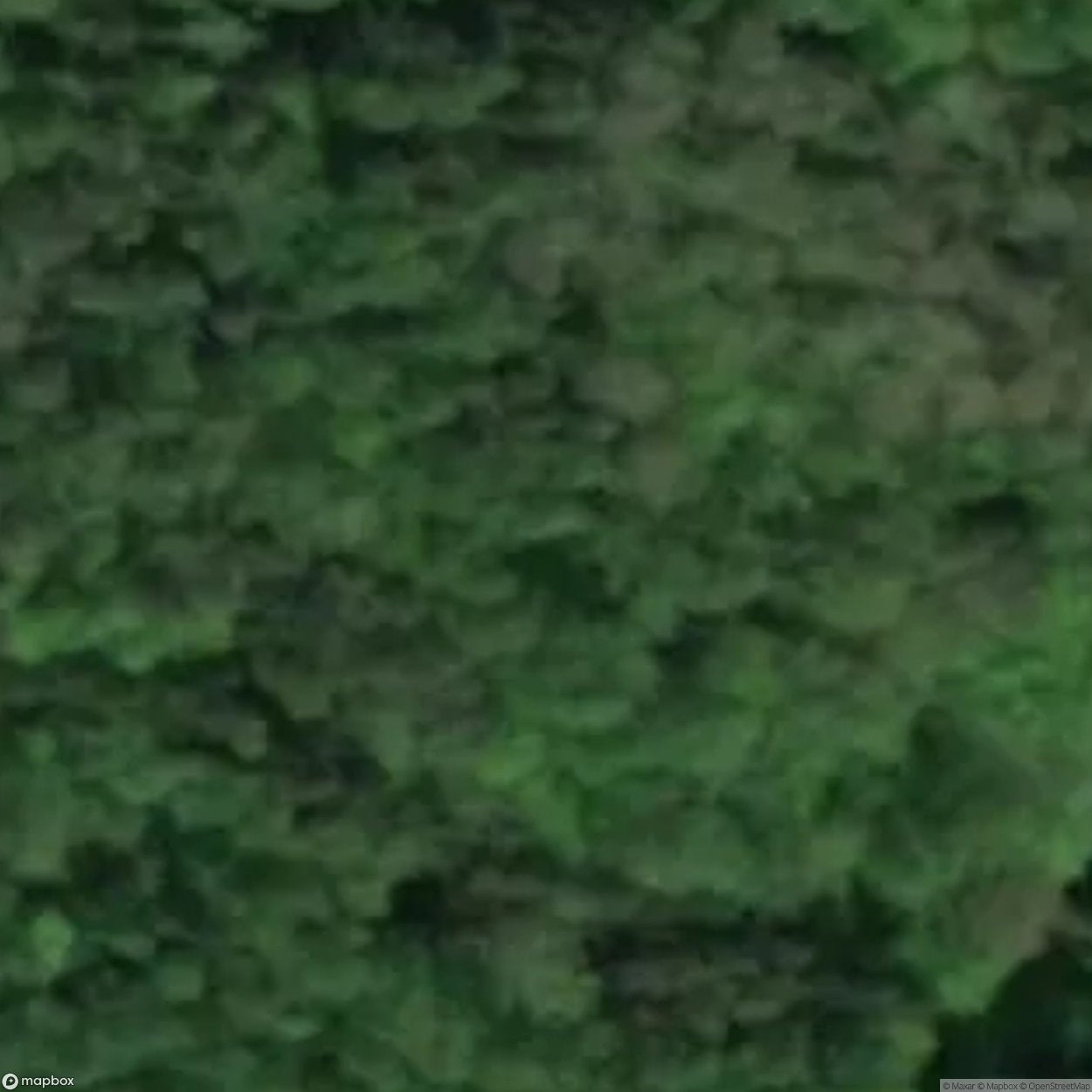 Karczewiec Site Near Rybo [POL] #33087