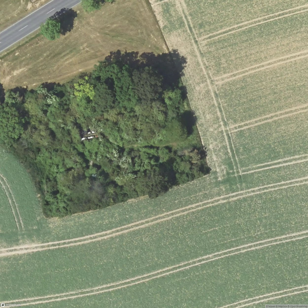 House Garden Court [DEU]