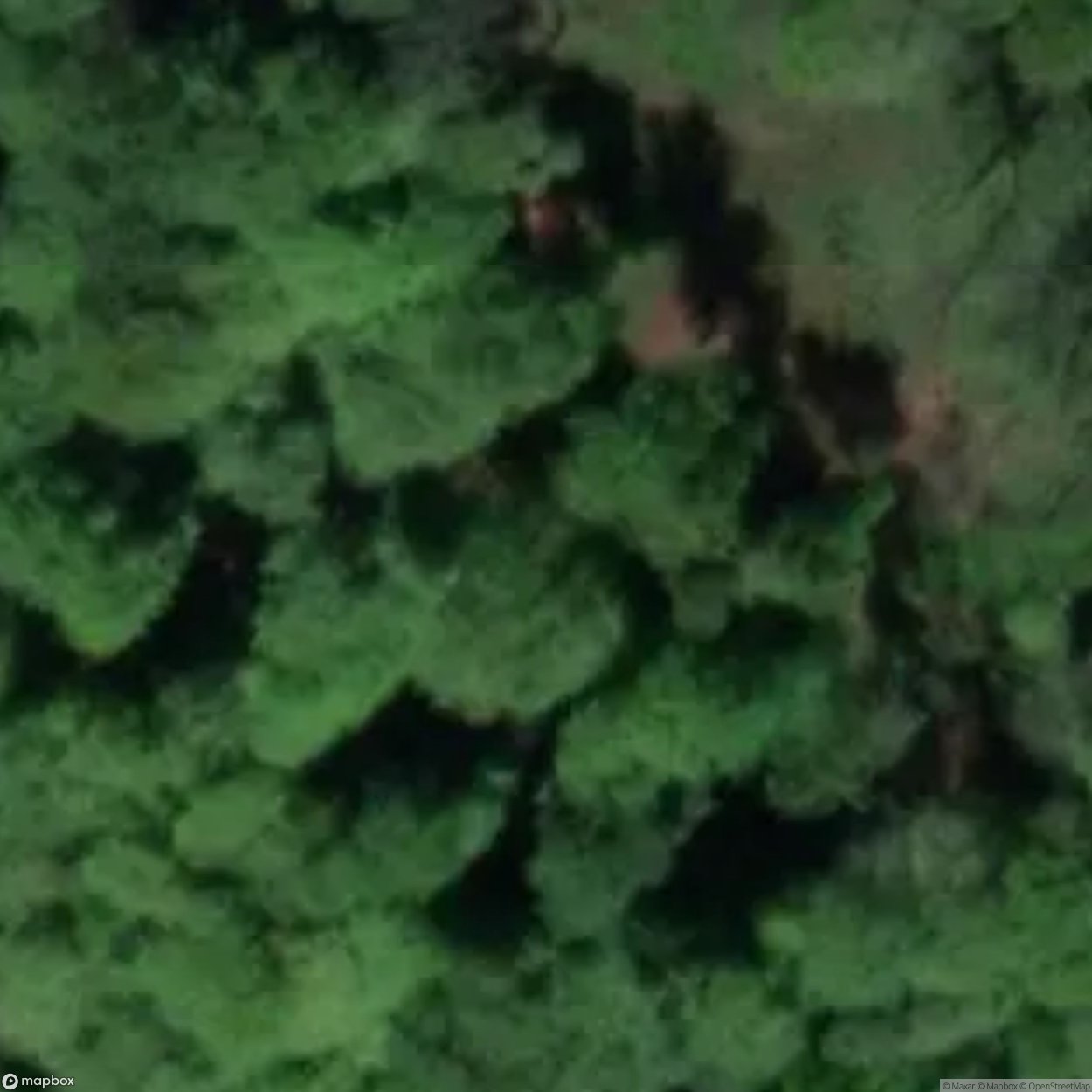 Upper Old Park Wood Air Shaft [GBR]