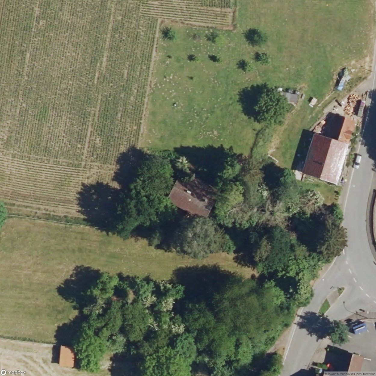 House of the Teacher [DEU]