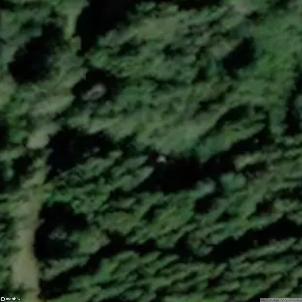 Cabin Q [SWE] #00178