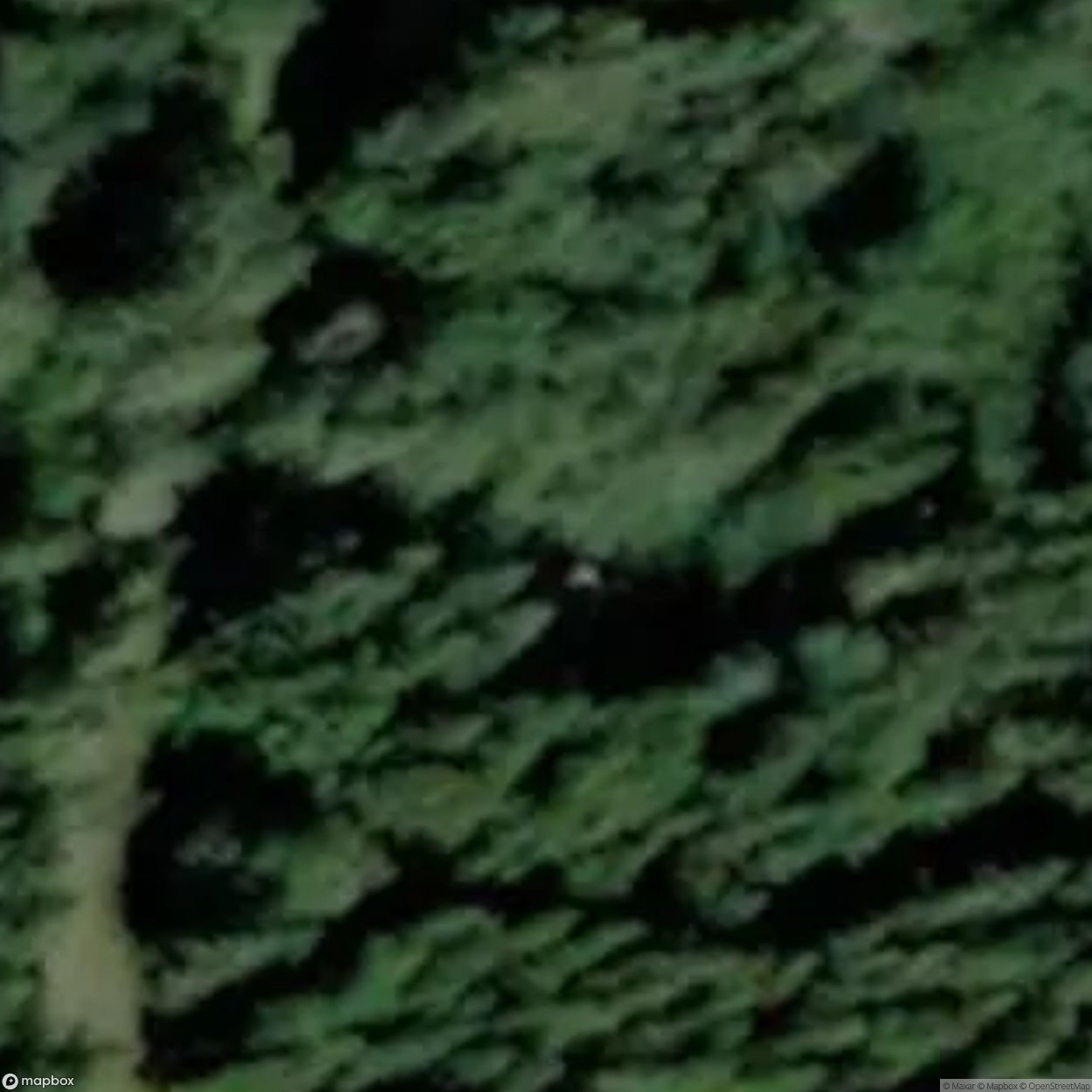 Cabin Q [SWE] #00178